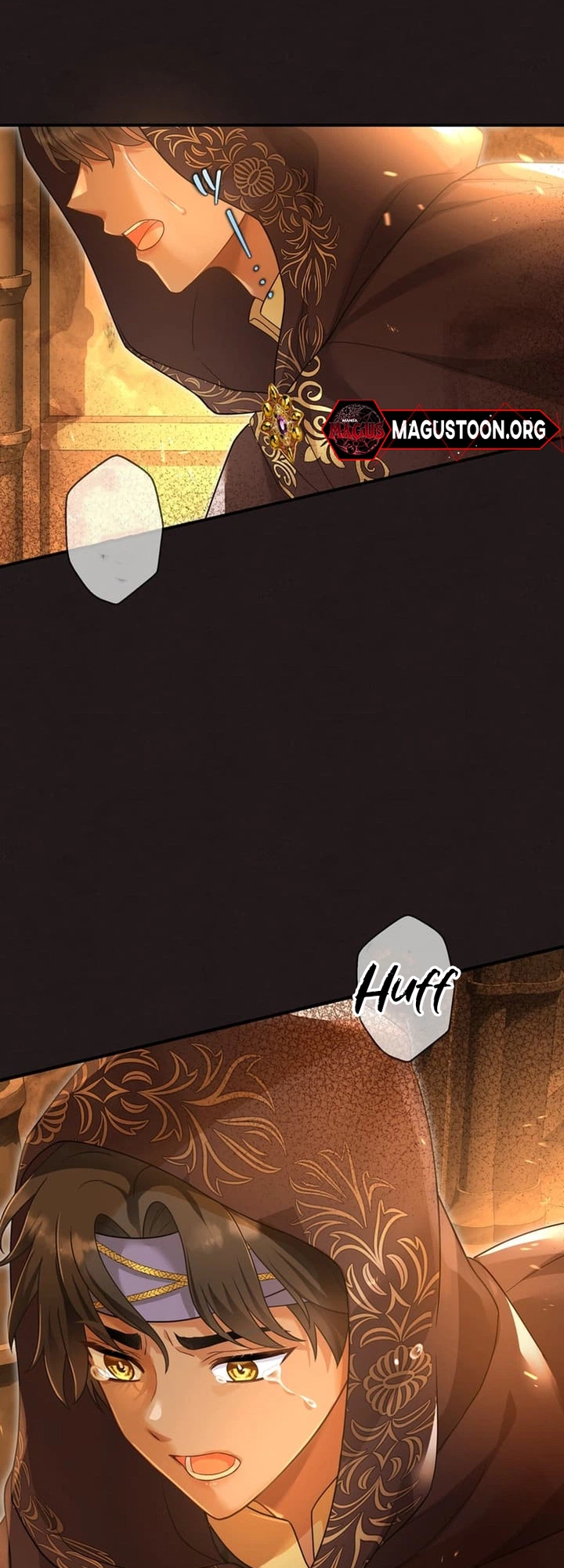 The Lady With Dual Personalities Chapter 20 Page 12