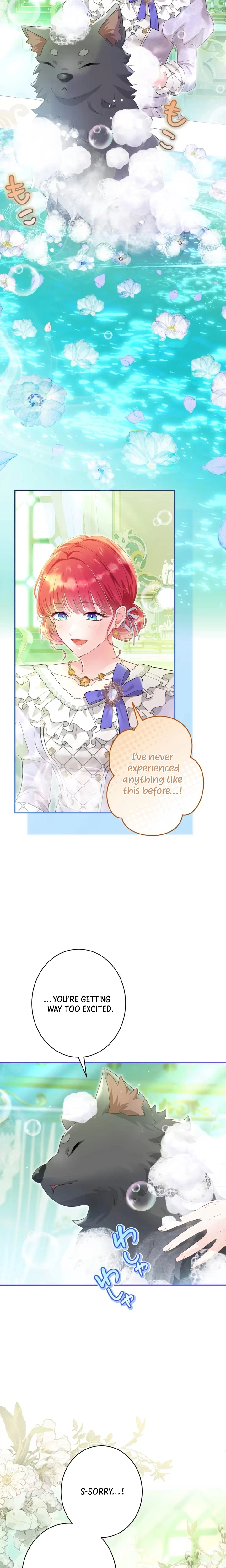 The Lady With Dual Personalities Chapter 13 Page 17
