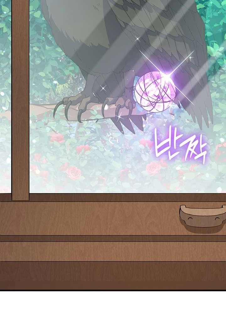 The Magic Tower Master Who Became a Grand Duchess Chapter 58 Page 13