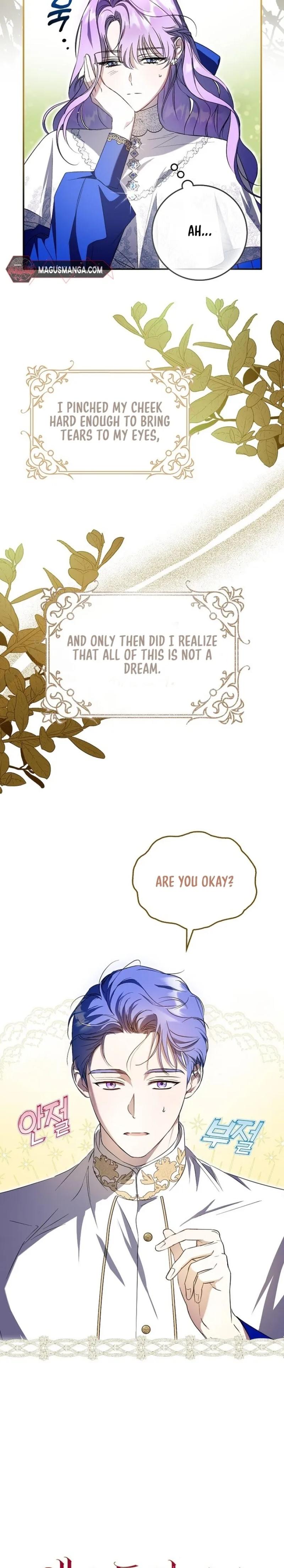 The Male Leads Were Stolen by the Extra Chapter 2 - Chapter 2 Page 3