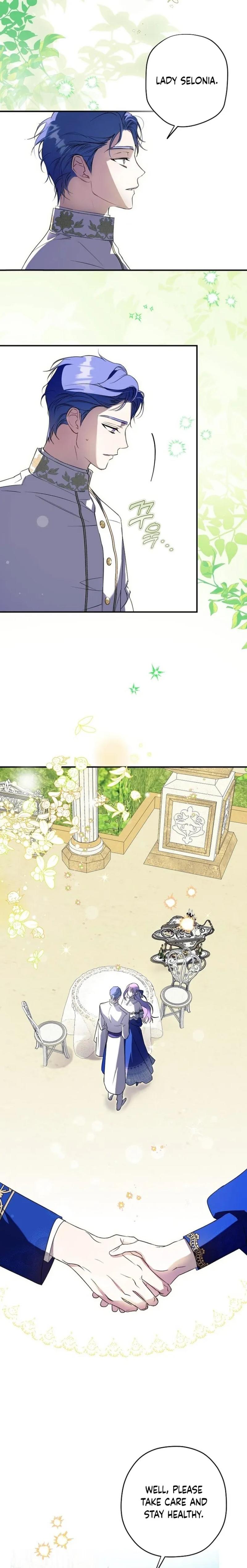 The Male Leads Were Stolen by the Extra Chapter 2 - Chapter 2 Page 14