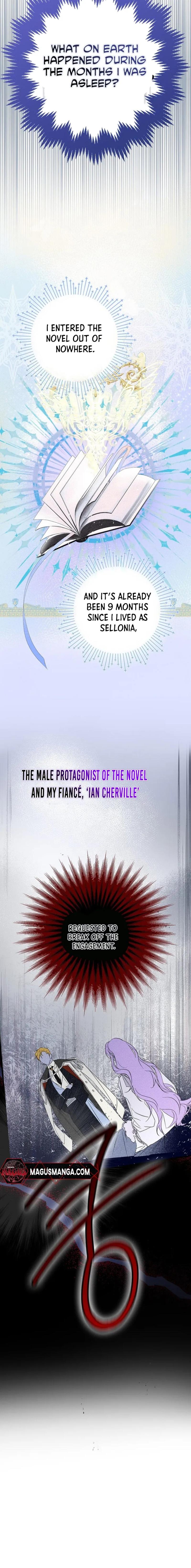 The Male Leads Were Stolen by the Extra Chapter 1 - Chapter 1 Page 3