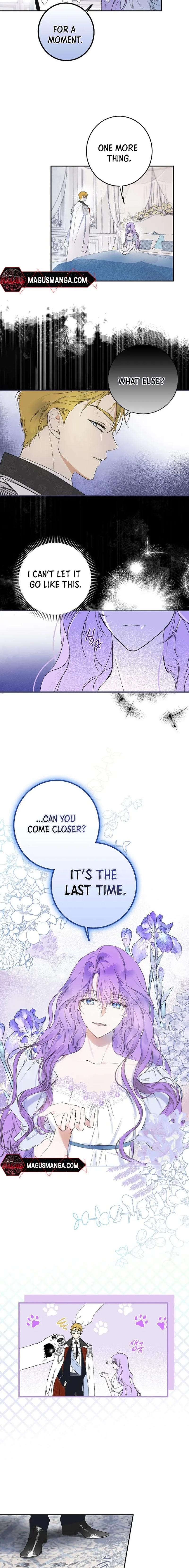 The Male Leads Were Stolen by the Extra Chapter 1 - Chapter 1 Page 15