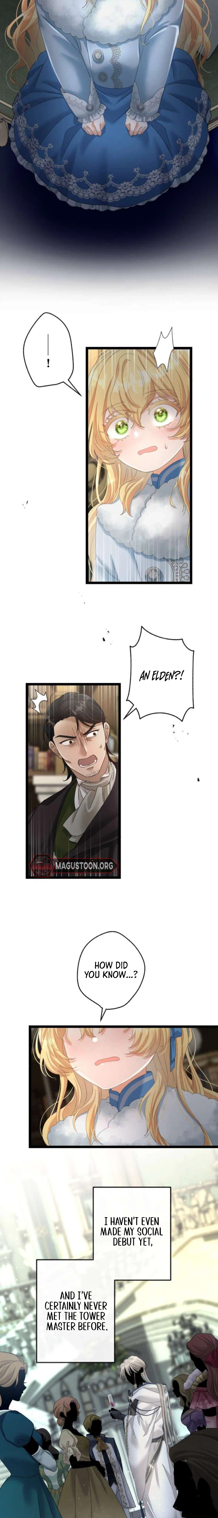 The Prince of Calamity Wants the Fake Lady Chapter 12 Page 17