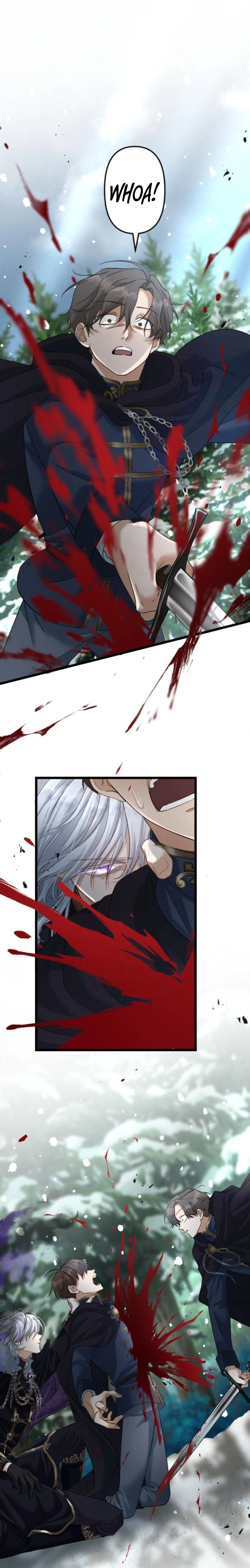The Prince of Calamity Wants the Fake Lady Chapter 5 Page 4