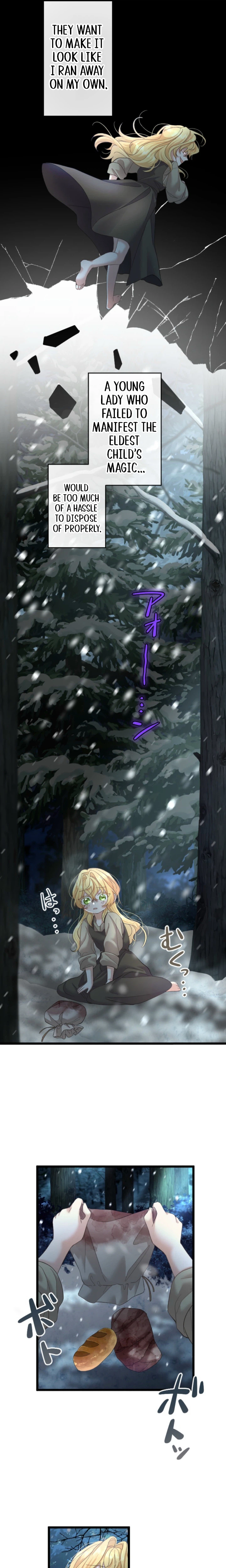 The Prince of Calamity Wants the Fake Lady Chapter 2 Page 12