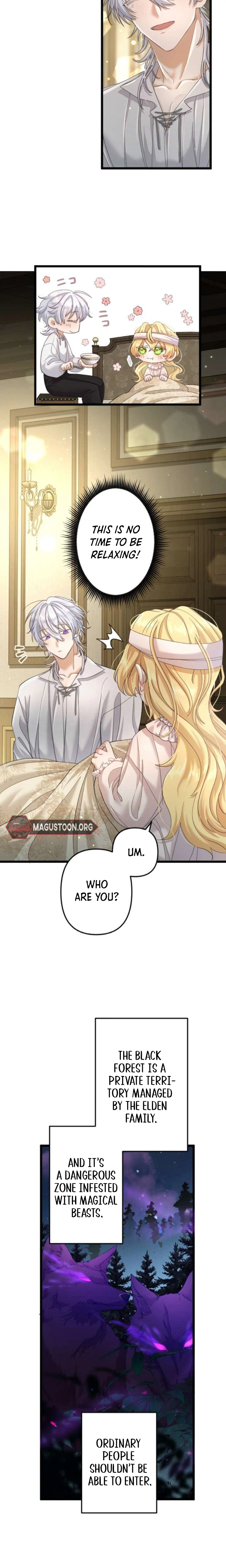 The Prince of Calamity Wants the Fake Lady Chapter 2 Page 31