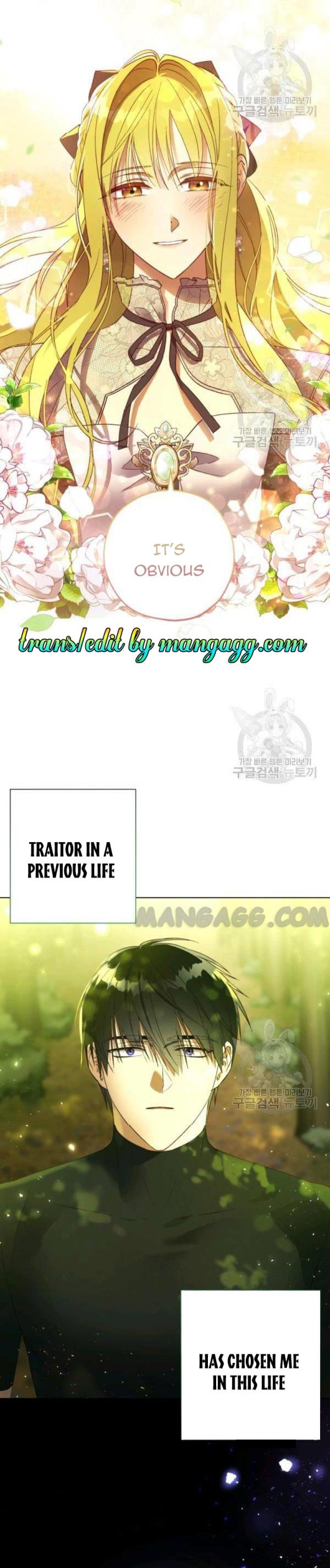 The Princess Imprint A Traitor Chapter 37 - Chapter 37 Page 30