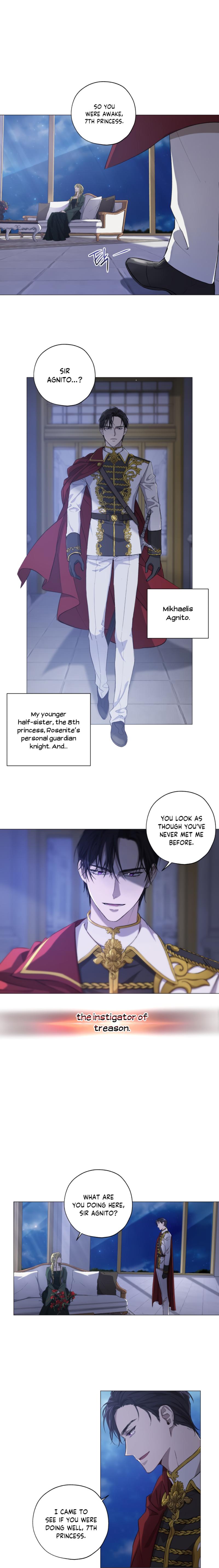 The Princess Imprint A Traitor Chapter 1 - Chapter 1 Page 7