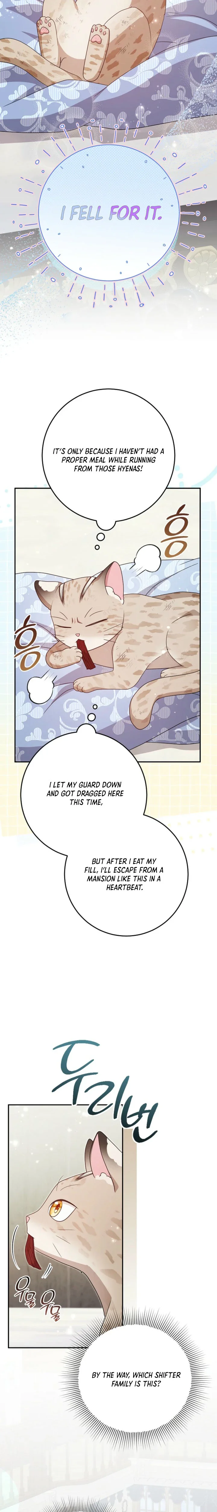 The Tiger Clan’s Little Wildcat Chapter 1 Page 29