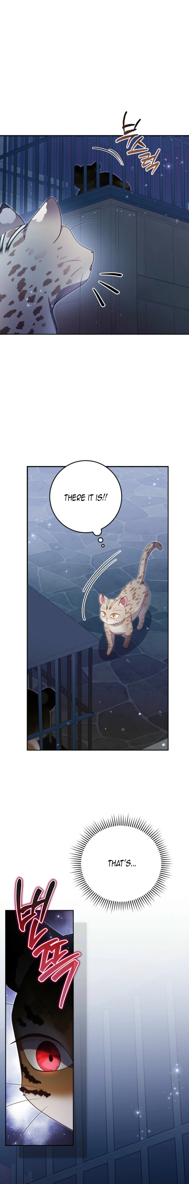 The Tiger Clan’s Little Wildcat Chapter 16 Page 11