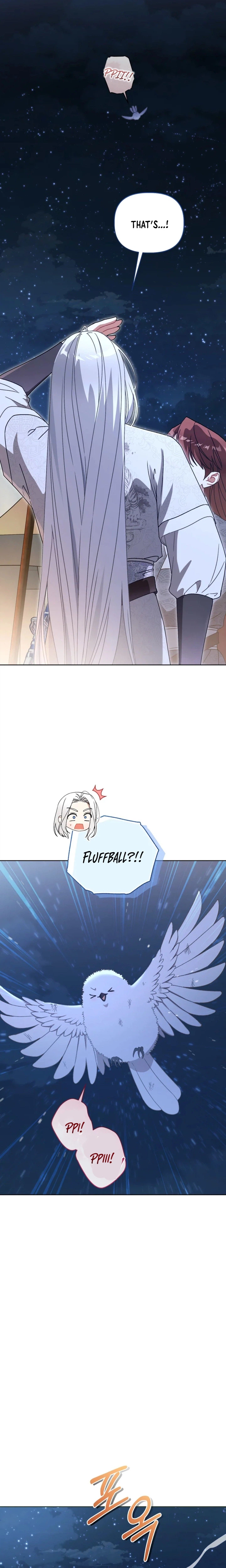 The White Tiger Clan’s Little Fluffball Chapter 31 Page 5