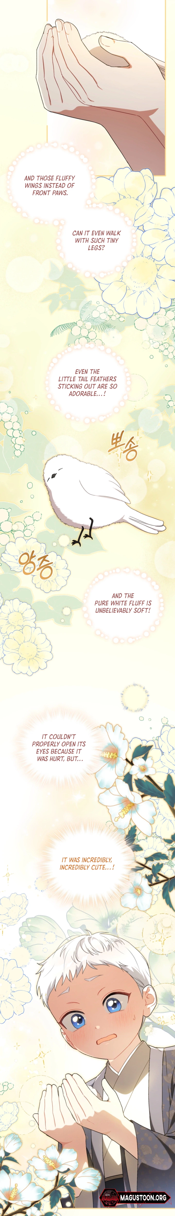 The White Tiger Clan’s Little Fluffball Chapter 10 Page 4