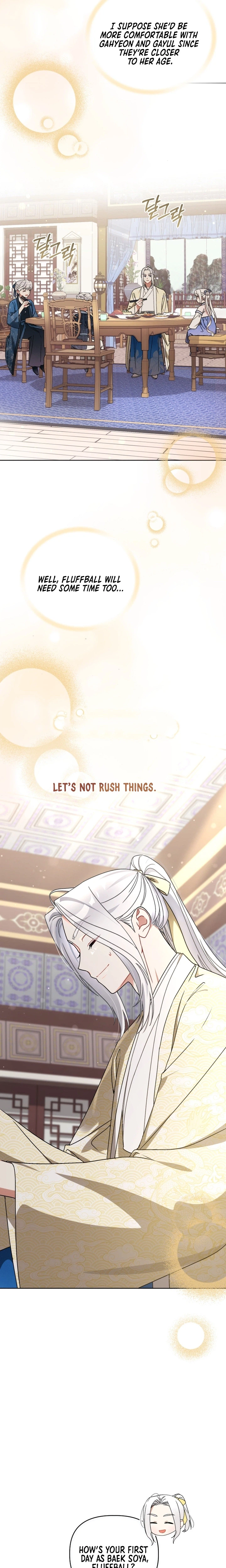 The White Tiger Clan’s Little Fluffball Chapter 26 Page 13