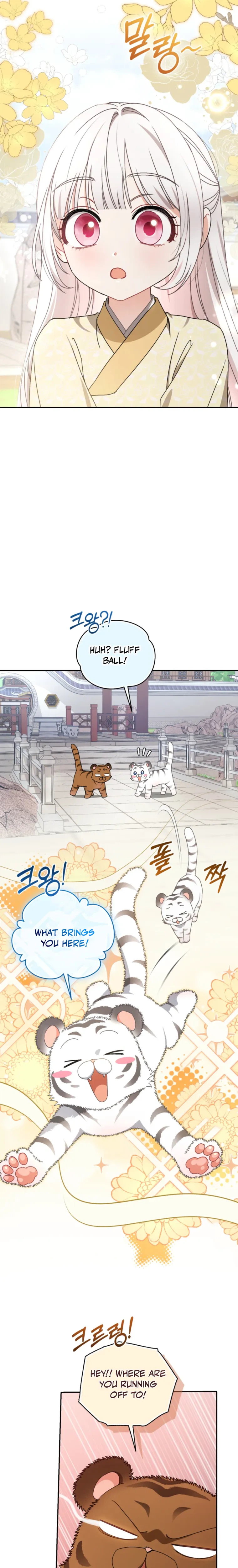 The White Tiger Clan’s Little Fluffball Chapter 15 Page 11