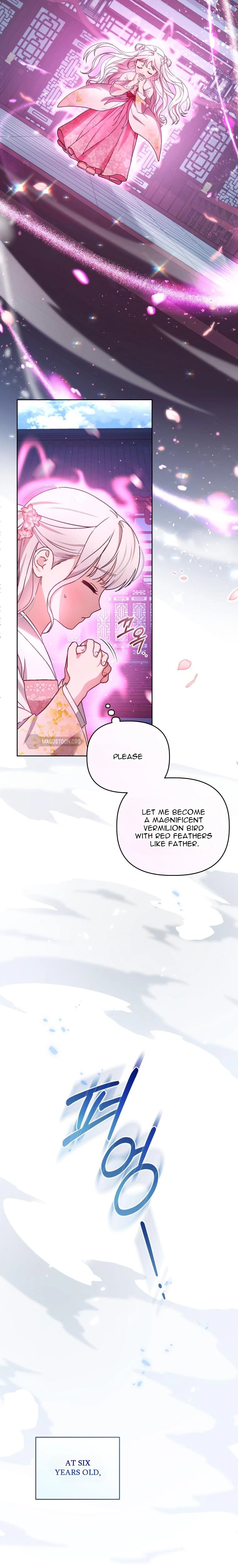 The White Tiger Clan’s Little Fluffball Chapter 1 Page 11