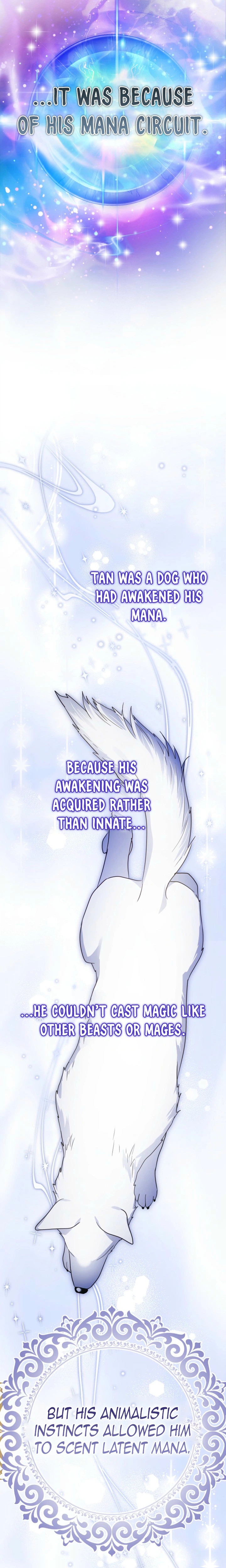Travesty: Becoming the Fake Prince Chapter 10 Page 3