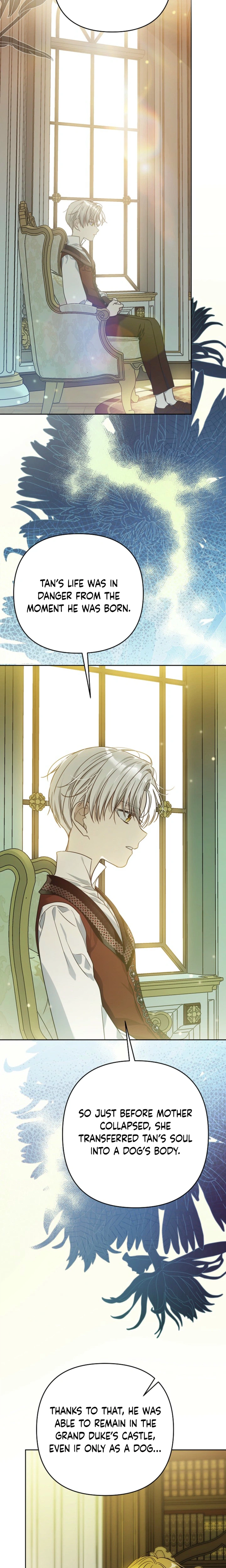 Travesty: Becoming the Fake Prince Chapter 16 Page 29